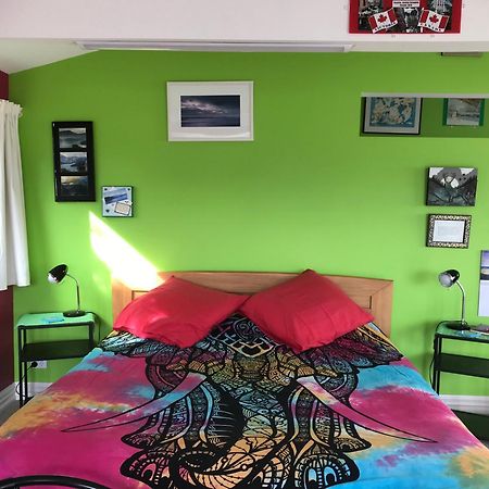 더니든 Piringa B&B 외부 사진